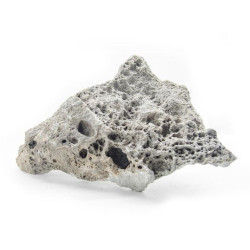 Lace Rock 