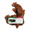 Malaysian Root Wood -Medium