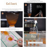 Brine Shrimp Eggs Hatchery Kit DIY