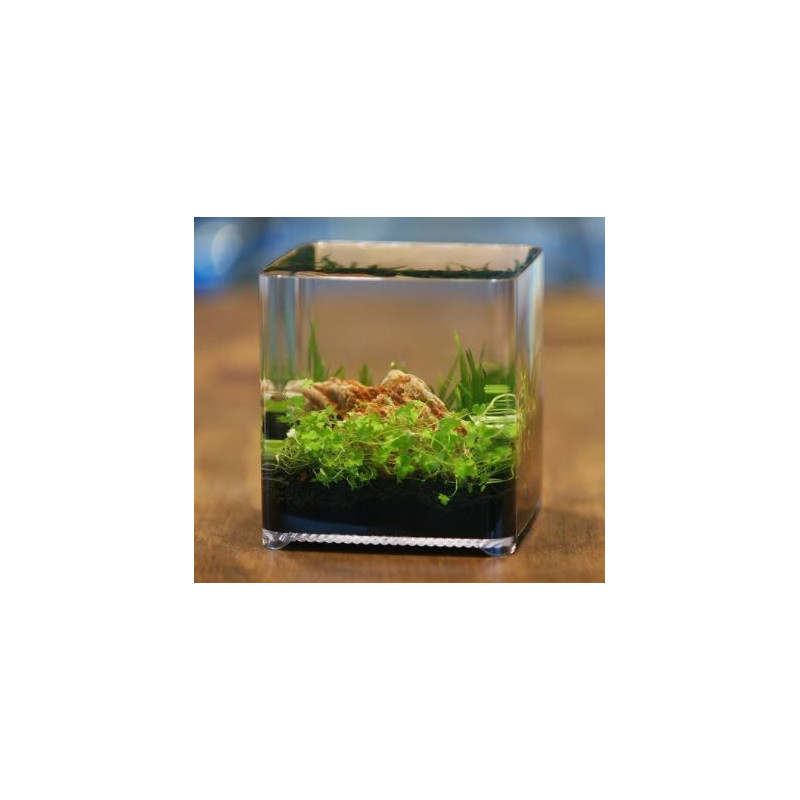 Ziss Nano Tank ZT-14 Betta Box 2.4L