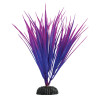 Purple Nile Grass - 7.5"