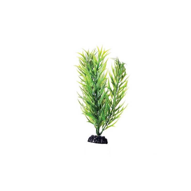 Plant Green Bamboo - 8"