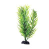 Plant Green Bamboo - 8"