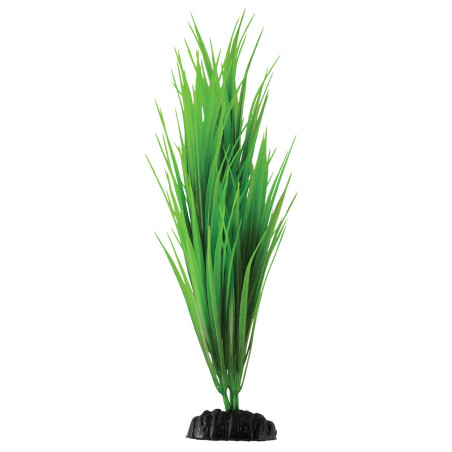 Plant Green Nile Grass - 11.5"