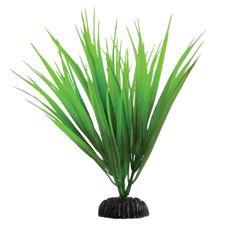 Plant Green Nile Grass - 7.5"