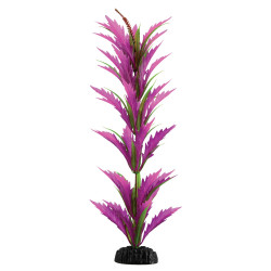 Plant Pink Saber Sword - 15.5"