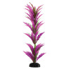 Plant Pink Saber Sword - 15.5"