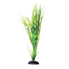 Plant Cryptocoryne Balansae - 12" Plant Cryptocoryne Balansae - 12"