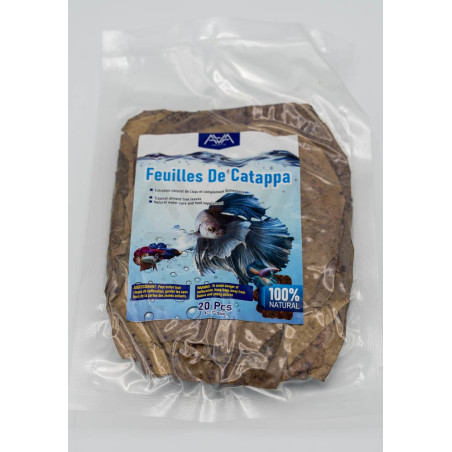 Indian Almand Leaves 20 pcs M -Catappa Grade A