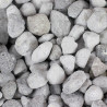 Seachem Matrix Bio Media 2L 