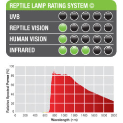 Exo Terra Night Heat Lamp