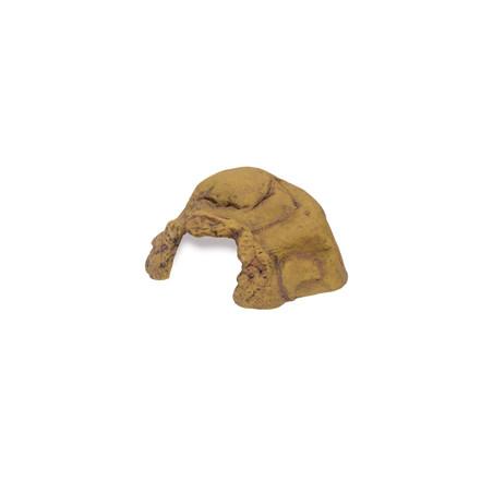 Exo Terra Reptile Cave - XX-Large