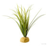 Exo Terra Turtle Grass - Aquatic Ground Plant