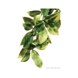 Exo Terra Jungle Plant - Mandarin - Small