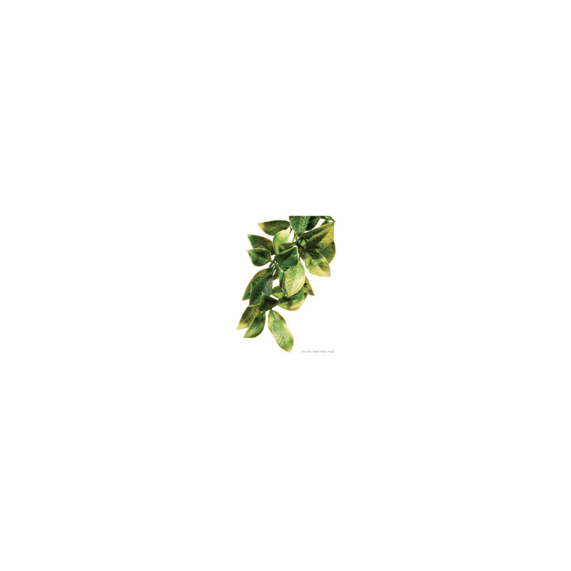 Exo Terra Jungle Plant - Mandarin - Small