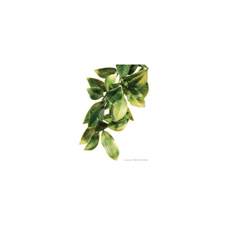 Exo Terra Jungle Plant - Mandarin - Small