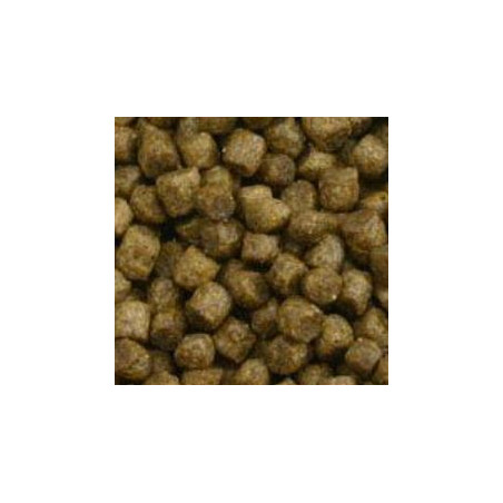 AAA Premium Turtle 3mm