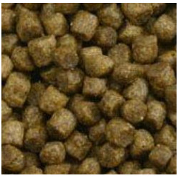 AAA Premium Turtle 3mm