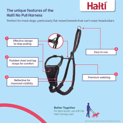 Halti No Pull Harness - Medium