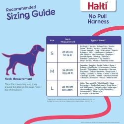 Halti No Pull Harness - Medium