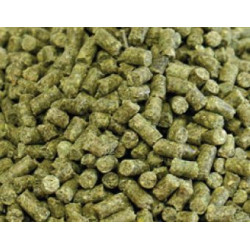 AAA Premium Adult Iguana 3 mm