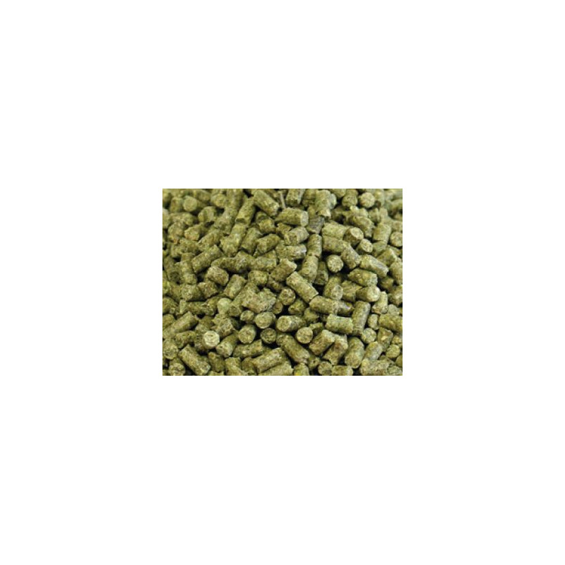 AAA Premium Adult Iguana 3 mm