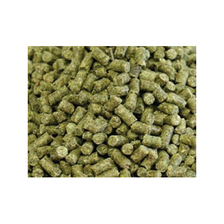 AAA Premium Adult Iguana 3 mm