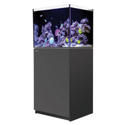 Reefer Reef-Ready 170 43 gallons