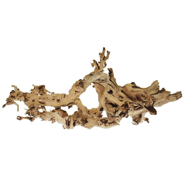 African Grape Vine Décor