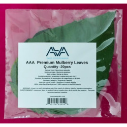 AAA Mulberry Leaves -20 pcs