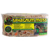 Zoo Med New Zealand Sphagnum Moss -120g