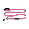 Alcott Adventure Leash - Pink - Small