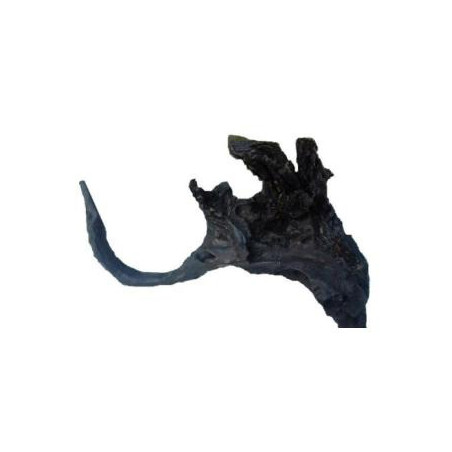 AquaGlobe Blackwood -Medium