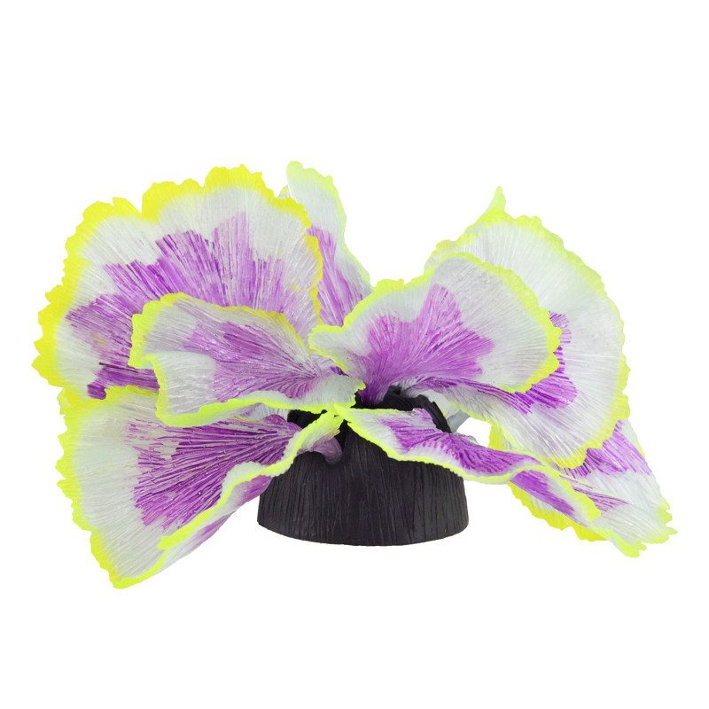 Coral Lettuce - Purple