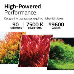 Fluval Plant Pro 60 for Fresh & Planted Aquariums -38W -15-23in