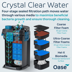 Oase BioMaster² -250