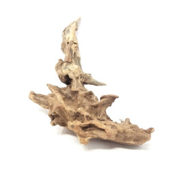 Aquaglobe Pacific Woods - Small