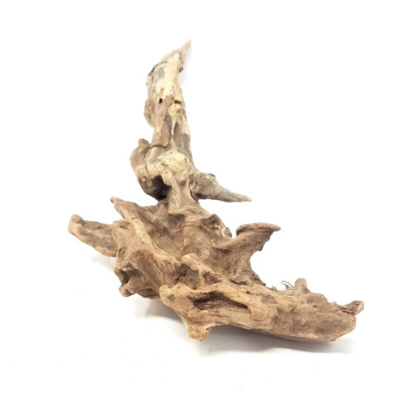 Aquaglobe Pacific Woods - Small