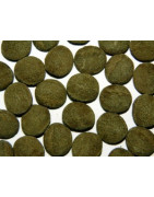 algae wafers or algae disc is Fish food at warehouse price in Canada
