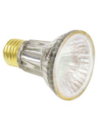 Light Bulbs