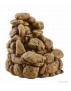 Brumisateur et cascade