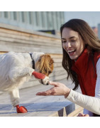 Accessoires & Vêtements