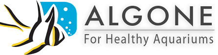 ALGONE